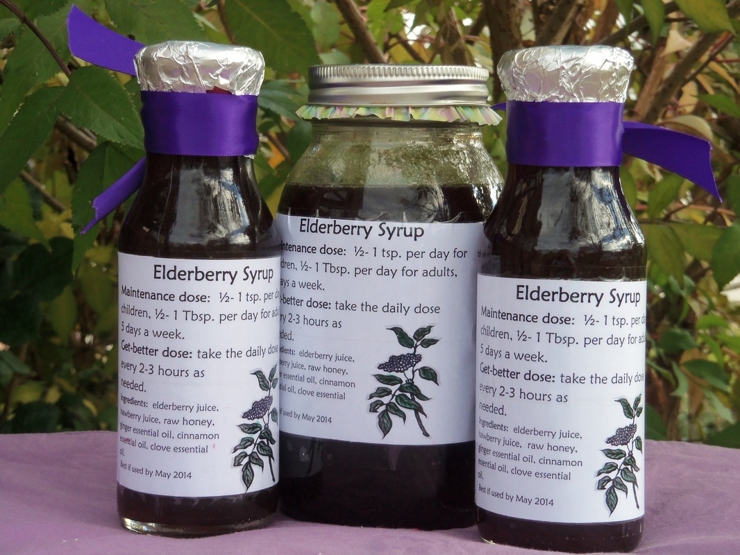 How to Use a Steam Juicer  Make Your Own Elderberry Juice with