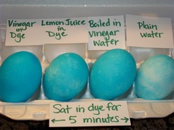 Why Use Vinegar When Dyeing Eggs The Provident Homemaker